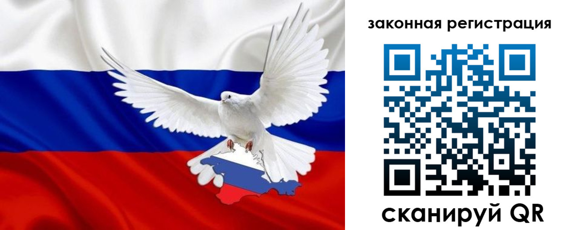 где прописаться в Волосово